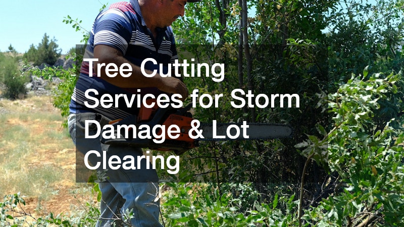 Tree Cutting Services for Storm Damage and Lot Clearing